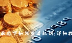 TPWallet登录状态下如何查看私钥:详细指南及注意