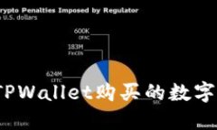 : 如何找回在TPWallet购买的数字货币?完整指南