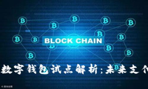 中国17家银行数字钱包试点解析:未来支付的畅想与挑战