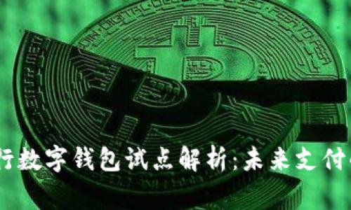 中国17家银行数字钱包试点解析:未来支付的畅想与挑战