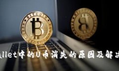 TPWallet中的U币消失的原因及解决方法