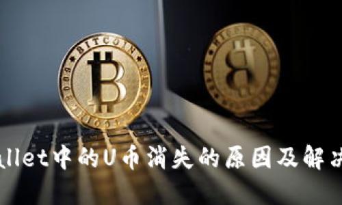 TPWallet中的U币消失的原因及解决方法