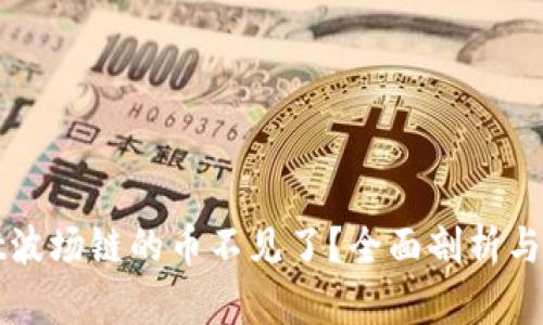 TPWallet波场链的币不见了?全面剖析与解决方案