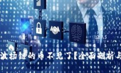 TPWallet波场链的币不见了?全面剖析与解决方案