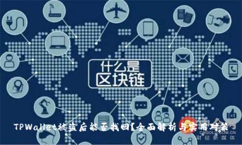 TPWallet被盗后能否找回?全面解析与实用对策