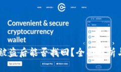 TPWallet被盗后能否找回？全面解析与实用对策