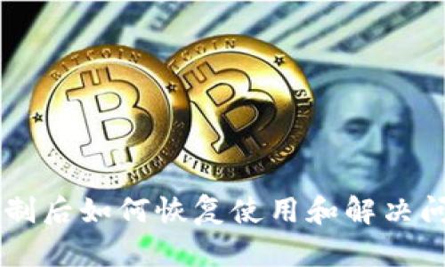 TPWallet被限制后如何恢复使用和解决问题的完整指南