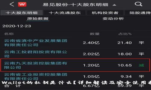 TP Wallet的私钥是什么？详细解读及安全使用指南