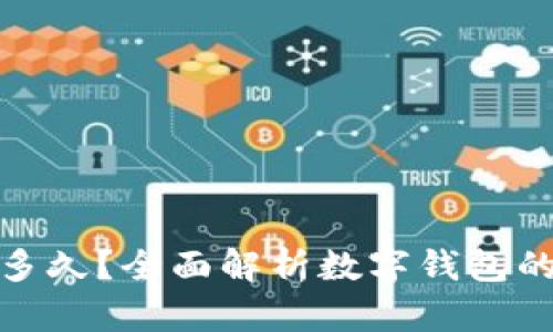数字钱包收款要多久？全面解析数字钱包的转账与结算时间