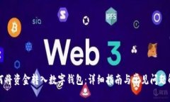 如何将资金转入数字钱包:详细指南与常见问题