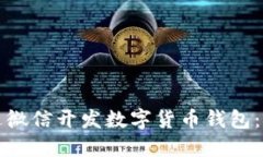 如何通过微信开发数字货币钱包:全面指南