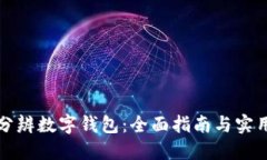 如何分辨数字钱包:全面指南与实用技巧
