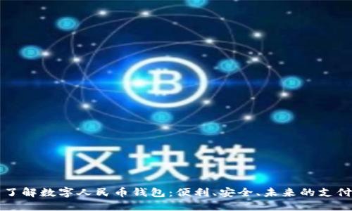 全面了解数字人民币钱包：便利、安全、未来的支付方式