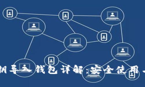 区块链私钥导入钱包详解:安全使用与操作指南