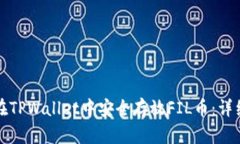如何在TPWallet中安全存放FIL币:详细指南