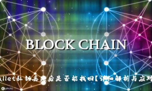 TPWallet私钥丢失后是否能找回？详细解析与应对策略