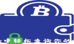 在TPWallet DApp中轻松查询你的加密资产步骤指南