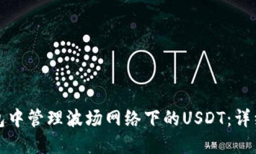如何在TP钱包中管理波场网络下的USDT：详细指南与技巧