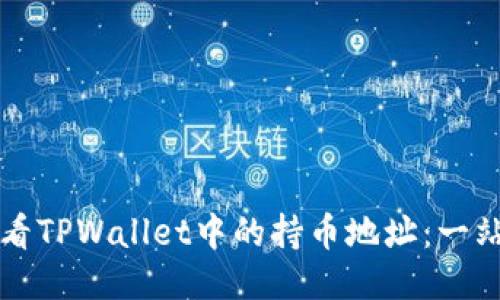 如何查看TPWallet中的持币地址：一站式指南