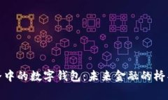 探索赛博朋克世界中的数字钱包：未来金融的桥