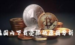 TPWallet在国内下载受限的原因分析与解决方案