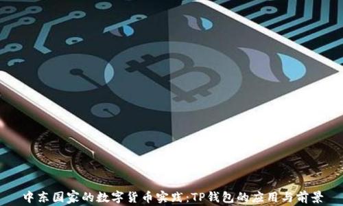 
中东国家的数字货币实践：TP钱包的应用与前景