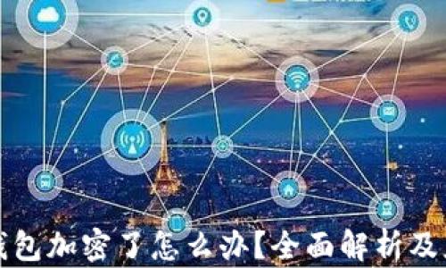 
来特币钱包加密了怎么办？全面解析及应对措施