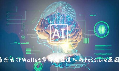 深入探讨：为什么TPWallet薄饼无法进入的Possible原因及解决方案