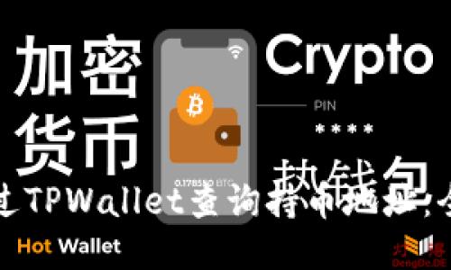 如何通过TPWallet查询持币地址：全面指南