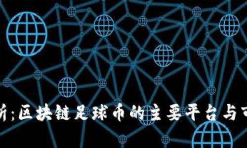 全面解析：区块链足球币的主要平台与市场机遇