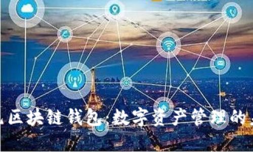 探索亚元区块链钱包：数字资产管理的未来选择