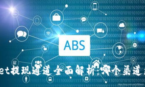 :
TPWallet提现通道全面解析：哪个渠道更快速？